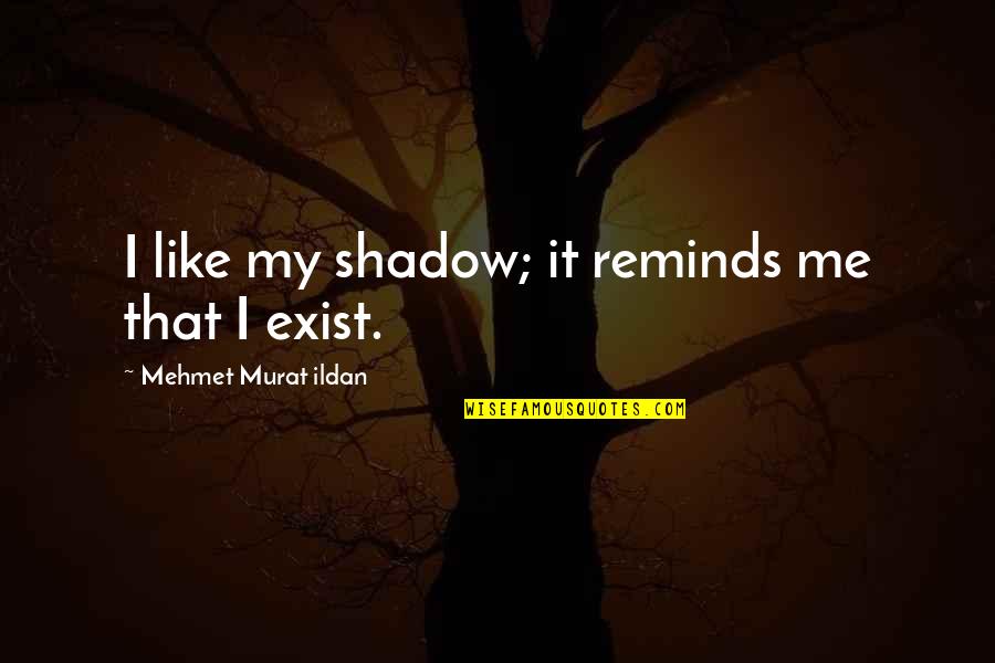 Sriram Quotes By Mehmet Murat Ildan: I like my shadow; it reminds me that Sriram Quotes By Mehmet Murat Ildan: I like my shadow; it reminds me that