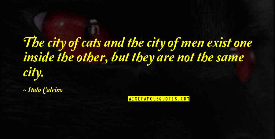 Sriramulu Wedding Quotes By Italo Calvino: The city of cats and the city of