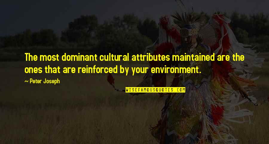 Srushti Jayant Deshmukh Motivational Quotes By Peter Joseph: The most dominant cultural attributes maintained are the