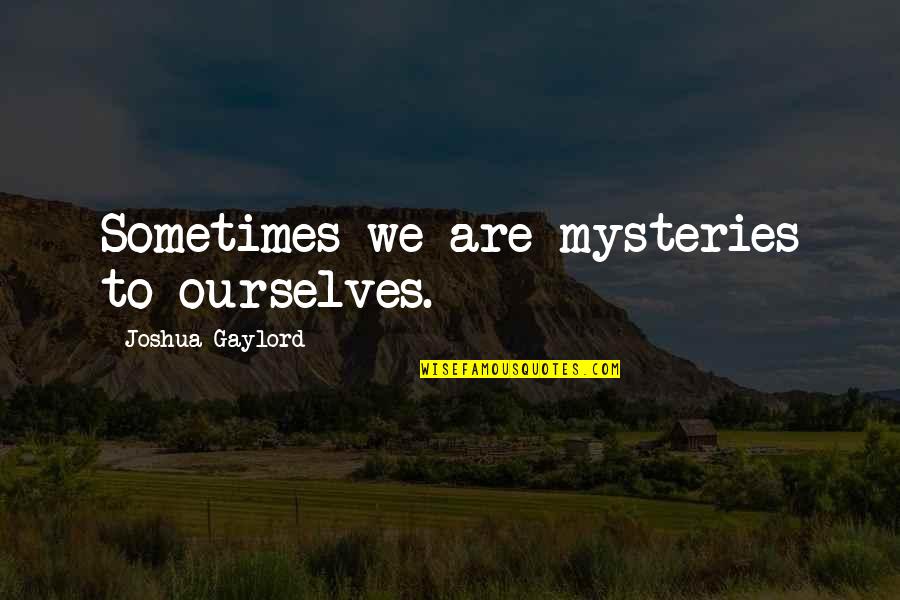 Ssh Command Line Quotes By Joshua Gaylord: Sometimes we are mysteries to ourselves.
