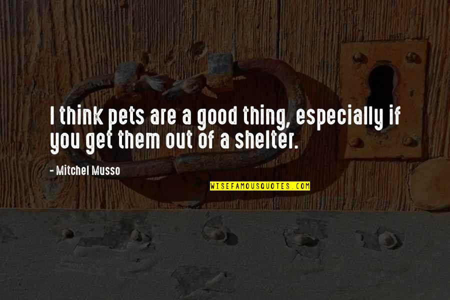 St Anthony The Great Quotes By Mitchel Musso: I think pets are a good thing, especially