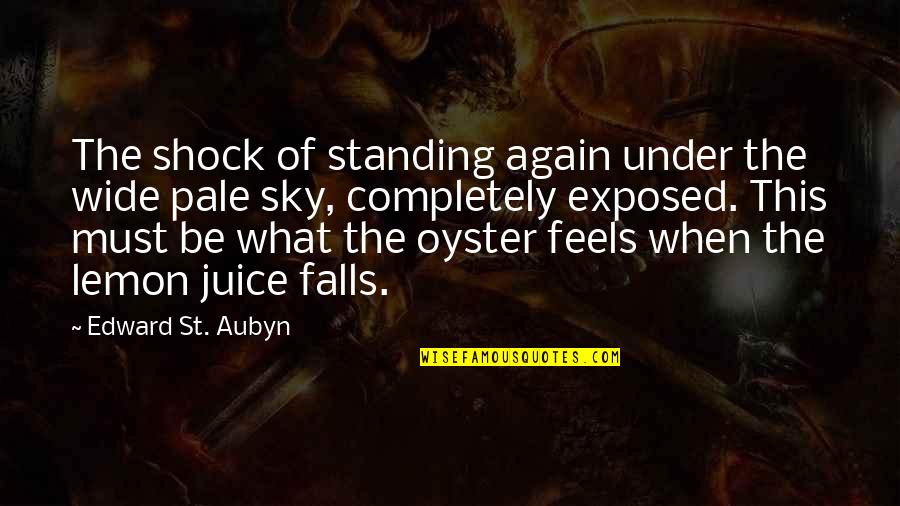 St Aubyn Quotes By Edward St. Aubyn: The shock of standing again under the wide
