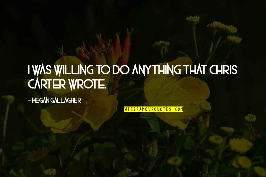 St Brigid's Quotes By Megan Gallagher: I was willing to do anything that Chris St Brigid's Quotes By Megan Gallagher: I was willing to do anything that Chris