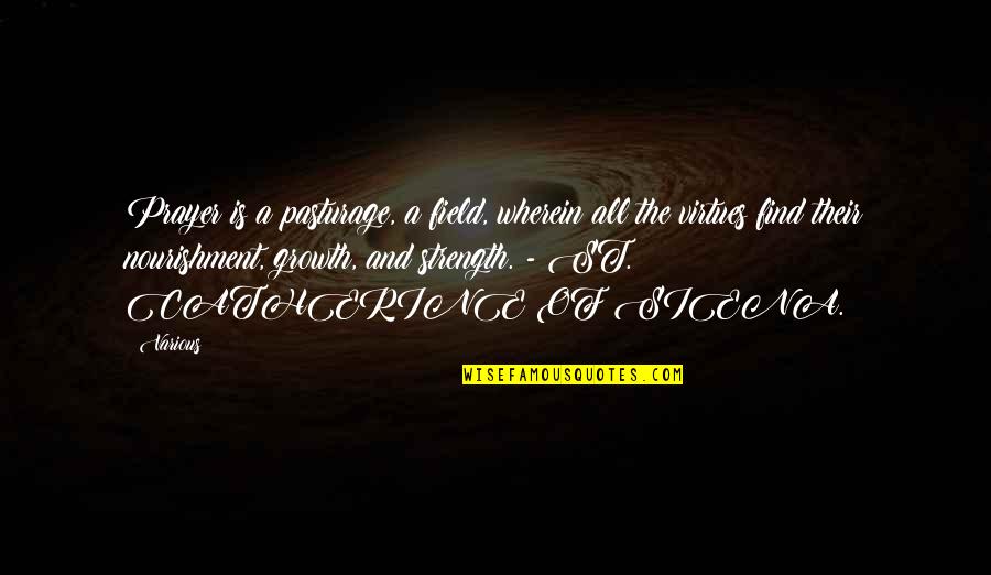 St Catherine Of Siena Quotes By Various: Prayer is a pasturage, a field, wherein all St Catherine Of Siena Quotes By Various: Prayer is a pasturage, a field, wherein all