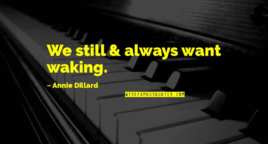 St Ckemann Quotes By Annie Dillard: We still & always want waking. St Ckemann Quotes By Annie Dillard: We still & always want waking.