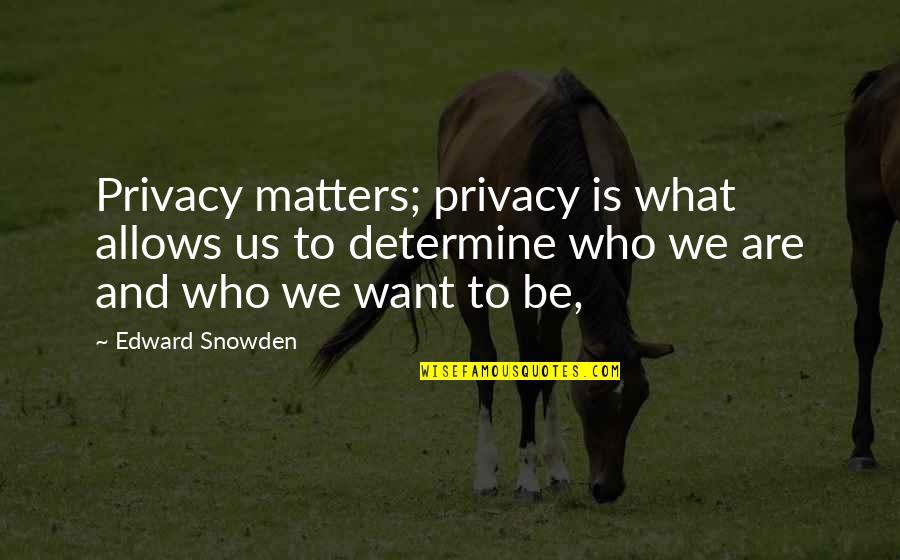 St Ckemann Quotes By Edward Snowden: Privacy matters; privacy is what allows us to St Ckemann Quotes By Edward Snowden: Privacy matters; privacy is what allows us to