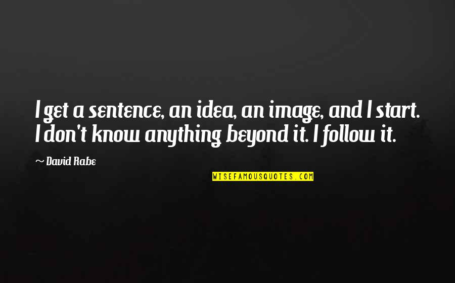 St Elizabeth Ann Seton Quotes By David Rabe: I get a sentence, an idea, an image,