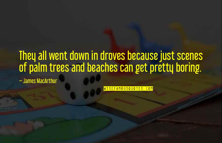 St Elmo Fire Quotes By James MacArthur: They all went down in droves because just St Elmo Fire Quotes By James MacArthur: They all went down in droves because just