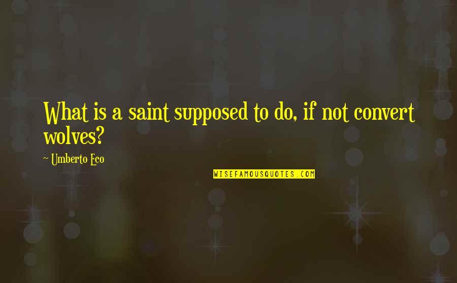 St Francis Quotes By Umberto Eco: What is a saint supposed to do, if