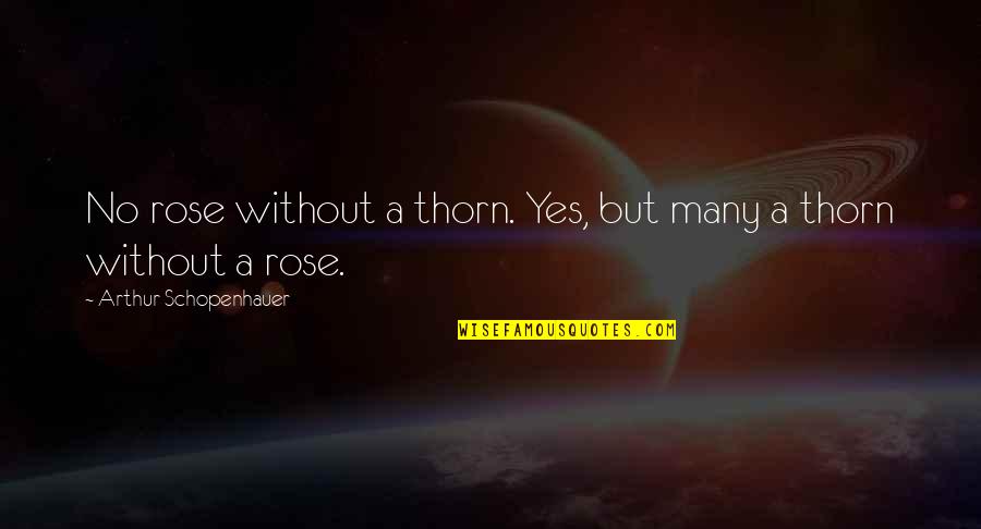 St John Chrysostom Quotes By Arthur Schopenhauer: No rose without a thorn. Yes, but many