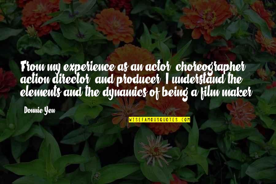 St John Francis Regis Quotes By Donnie Yen: From my experience as an actor, choreographer, action St John Francis Regis Quotes By Donnie Yen: From my experience as an actor, choreographer, action