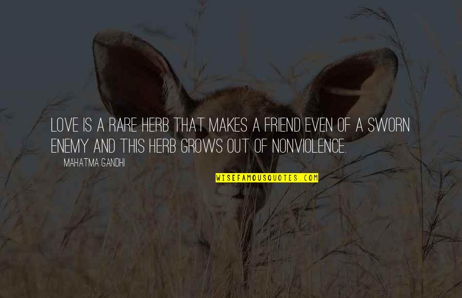 St John Francis Regis Quotes By Mahatma Gandhi: Love is a rare herb that makes a