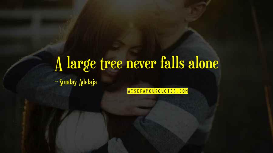 St John Of God Quotes By Sunday Adelaja: A large tree never falls alone St John Of God Quotes By Sunday Adelaja: A large tree never falls alone