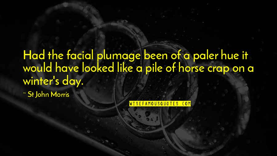 St John Quotes By St John Morris: Had the facial plumage been of a paler St John Quotes By St John Morris: Had the facial plumage been of a paler