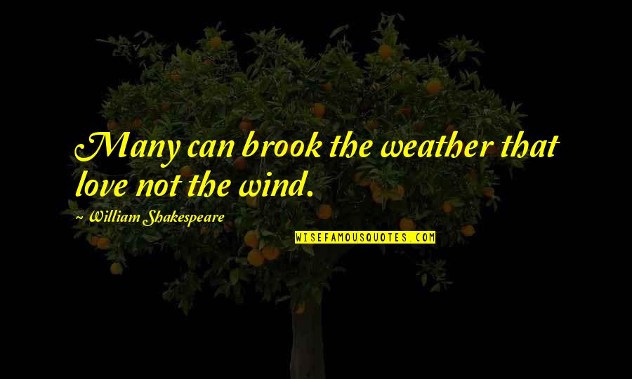 St Lucia Day Quotes By William Shakespeare: Many can brook the weather that love not