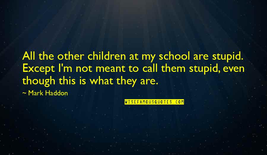 St Regis Quotes By Mark Haddon: All the other children at my school are