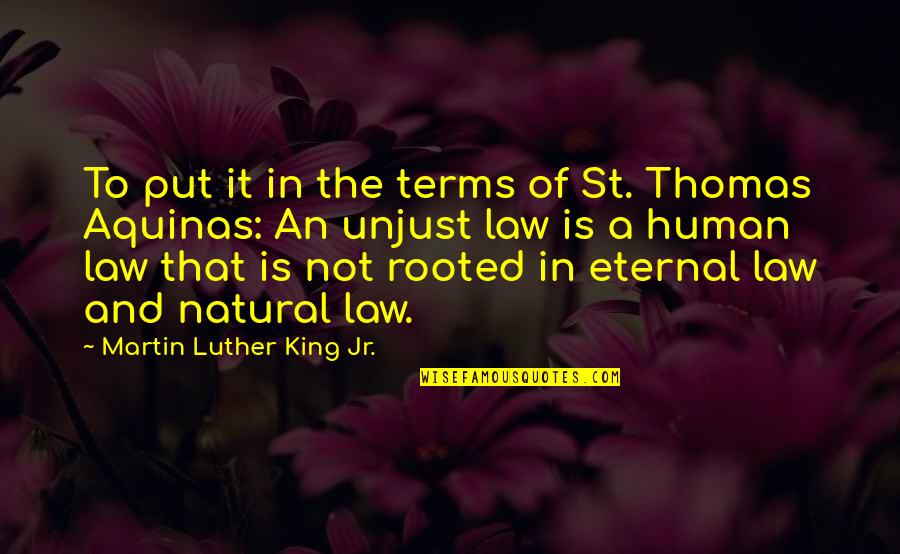 St Thomas Aquinas Quotes By Martin Luther King Jr.: To put it in the terms of St.
