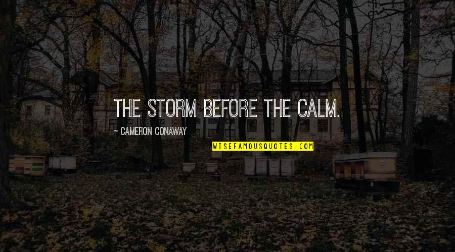 Stabilities Of A Airplane Quotes By Cameron Conaway: The storm before the calm.