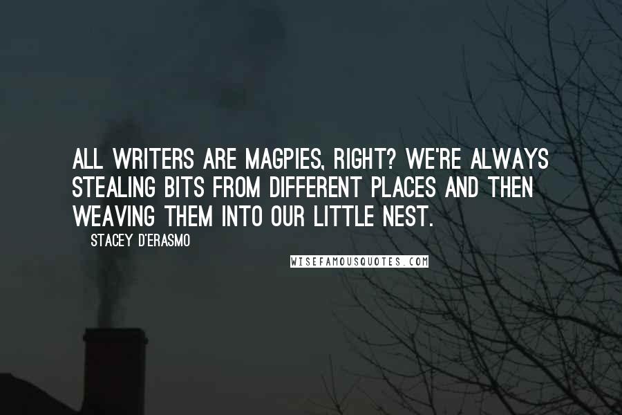 Stacey D'Erasmo quotes: All writers are magpies, right? We're always stealing bits from different places and then weaving them into our little nest.