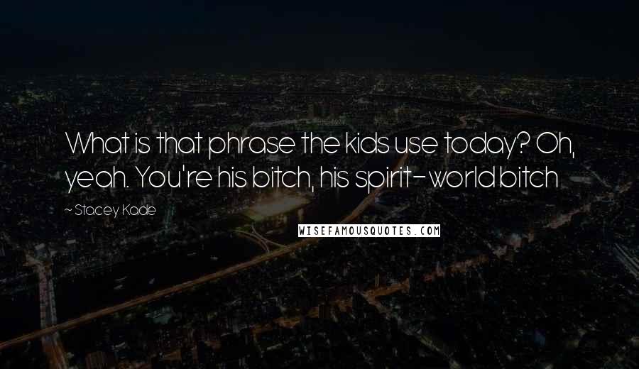 Stacey Kade quotes: What is that phrase the kids use today? Oh, yeah. You're his bitch, his spirit-world bitch