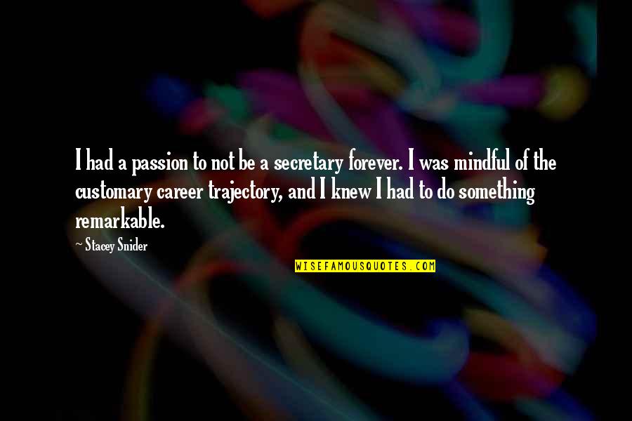 Stacey Snider Quotes By Stacey Snider: I had a passion to not be a