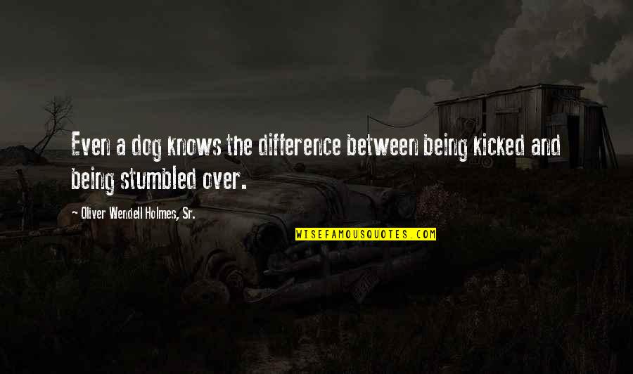 Stachelek 2019 Quotes By Oliver Wendell Holmes, Sr.: Even a dog knows the difference between being Stachelek 2019 Quotes By Oliver Wendell Holmes, Sr.: Even a dog knows the difference between being