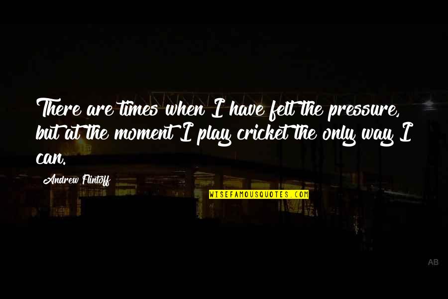 Stacy Dragila Quotes By Andrew Flintoff: There are times when I have felt the Stacy Dragila Quotes By Andrew Flintoff: There are times when I have felt the