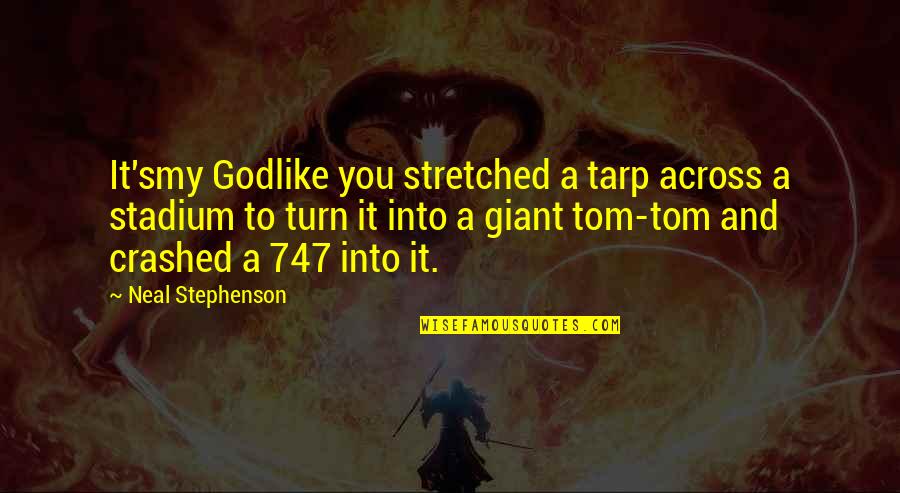 Stadium Quotes By Neal Stephenson: It'smy Godlike you stretched a tarp across a