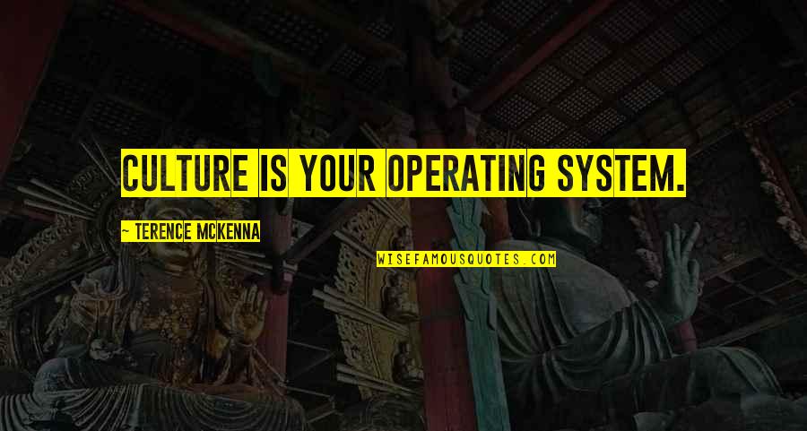 Stadiums Goods Quotes By Terence McKenna: Culture is your operating system.