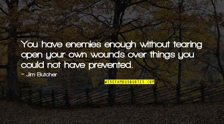 Stadius Slagerij Quotes By Jim Butcher: You have enemies enough without tearing open your Stadius Slagerij Quotes By Jim Butcher: You have enemies enough without tearing open your