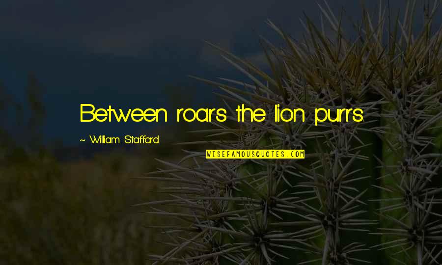 Stafford Quotes By William Stafford: Between roars the lion purrs.