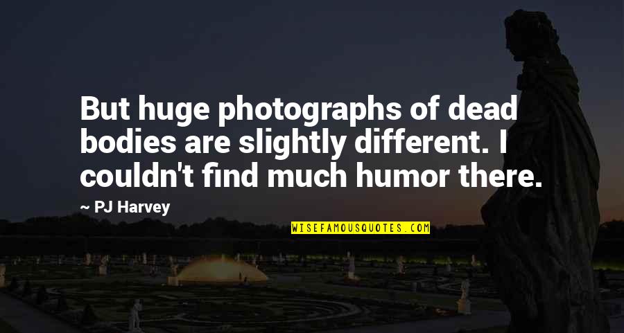 Staffordshire Bull Terrier Quotes By PJ Harvey: But huge photographs of dead bodies are slightly