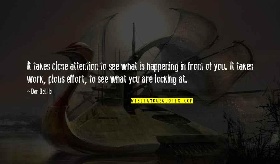 Stag And Doe Quotes By Don DeLillo: It takes close attention to see what is