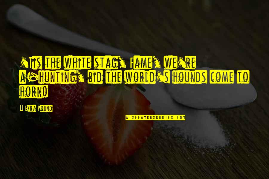 Stag Quotes By Ezra Pound: 'Tis the white stag, Fame, we're a-hunting, bid