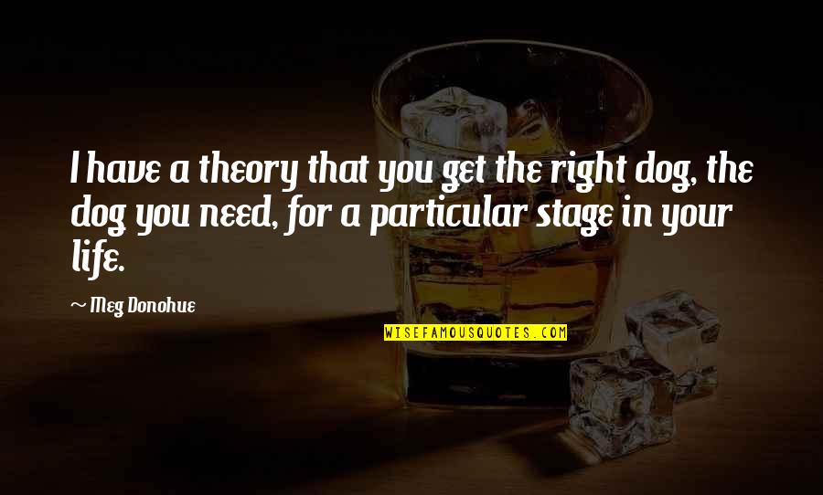 Stage In Life Quotes By Meg Donohue: I have a theory that you get the