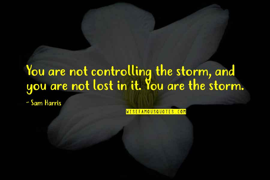 Stagecoach Stop Quotes By Sam Harris: You are not controlling the storm, and you