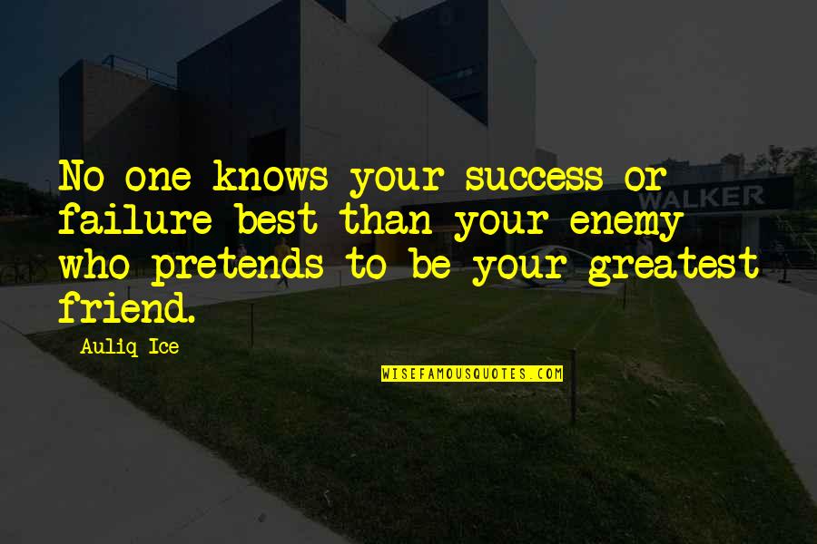 Stagein Quotes By Auliq Ice: No one knows your success or failure best