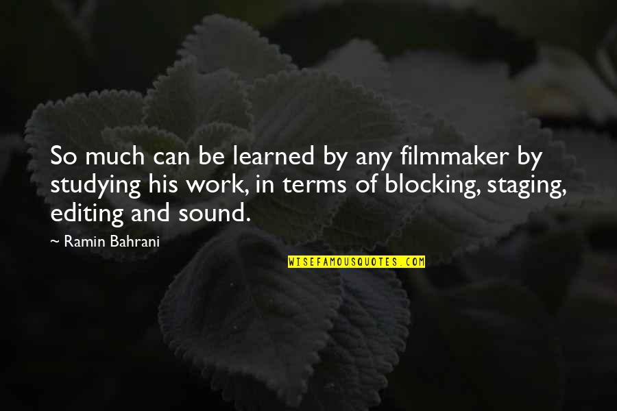 Staging Quotes By Ramin Bahrani: So much can be learned by any filmmaker