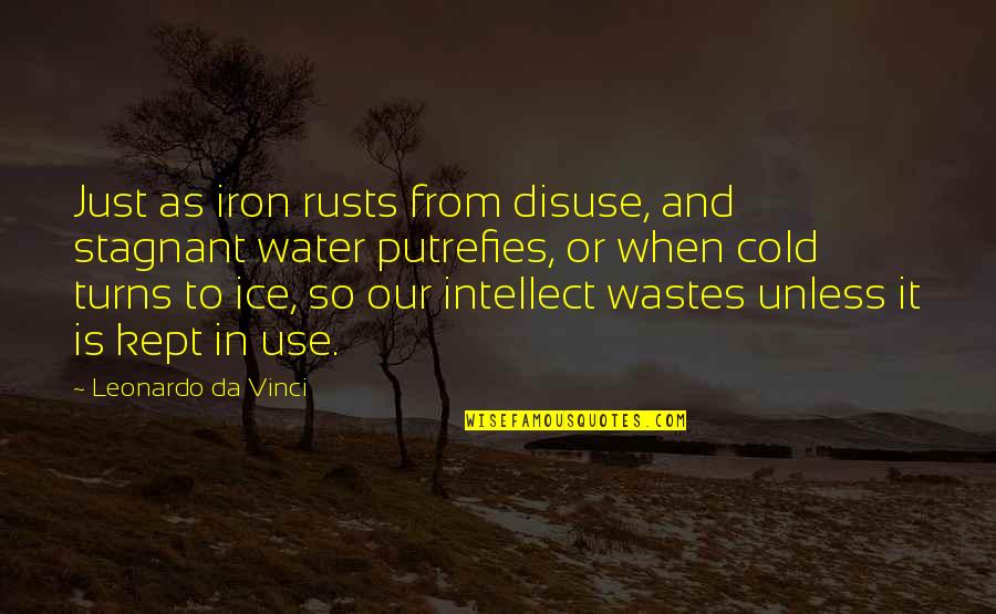 Stagnant Quotes By Leonardo Da Vinci: Just as iron rusts from disuse, and stagnant