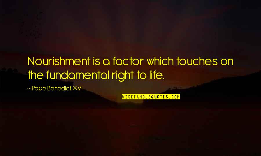Stagnante D Finition Quotes By Pope Benedict XVI: Nourishment is a factor which touches on the Stagnante D Finition Quotes By Pope Benedict XVI: Nourishment is a factor which touches on the