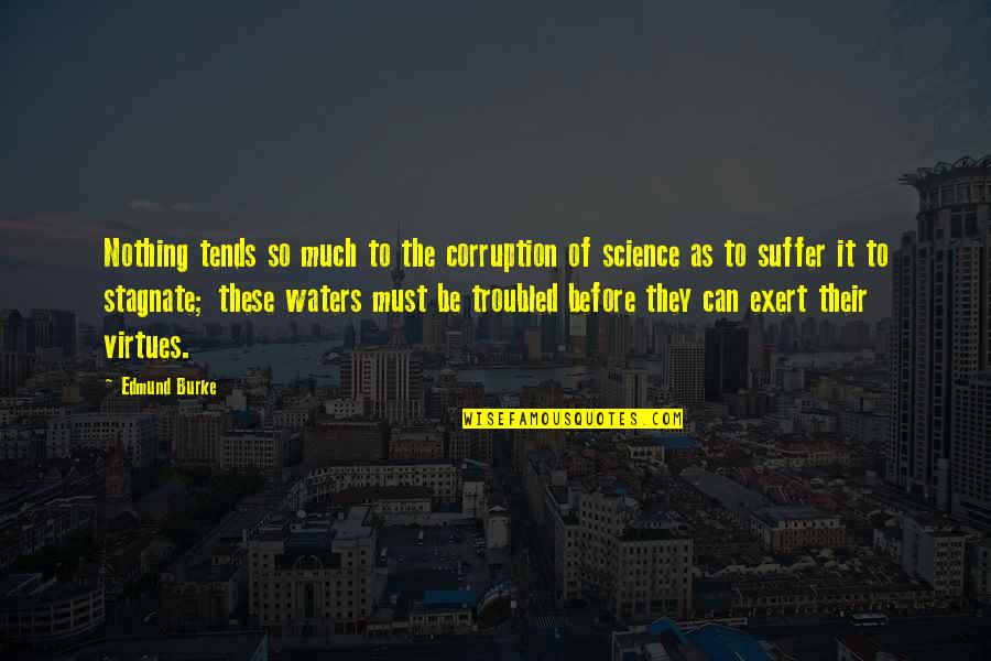 Stagnate Quotes By Edmund Burke: Nothing tends so much to the corruption of