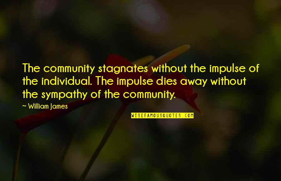 Stagnates Quotes By William James: The community stagnates without the impulse of the Stagnates Quotes By William James: The community stagnates without the impulse of the