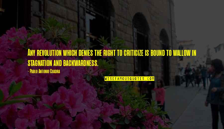 Stagnation Quotes By Pablo Antonio Cuadra: Any revolution which denies the right to criticize