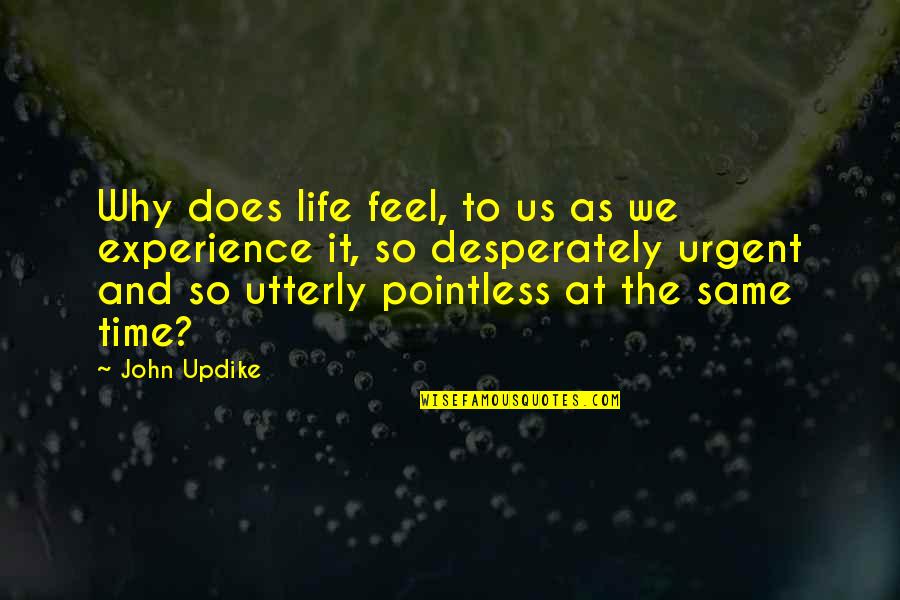 Stags Quotes By John Updike: Why does life feel, to us as we