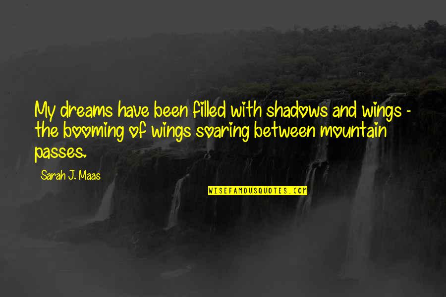 Staikos Travel Quotes By Sarah J. Maas: My dreams have been filled with shadows and Staikos Travel Quotes By Sarah J. Maas: My dreams have been filled with shadows and