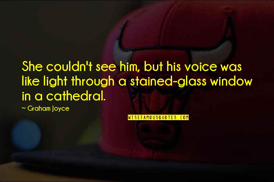 Stained Glass Quotes By Graham Joyce: She couldn't see him, but his voice was