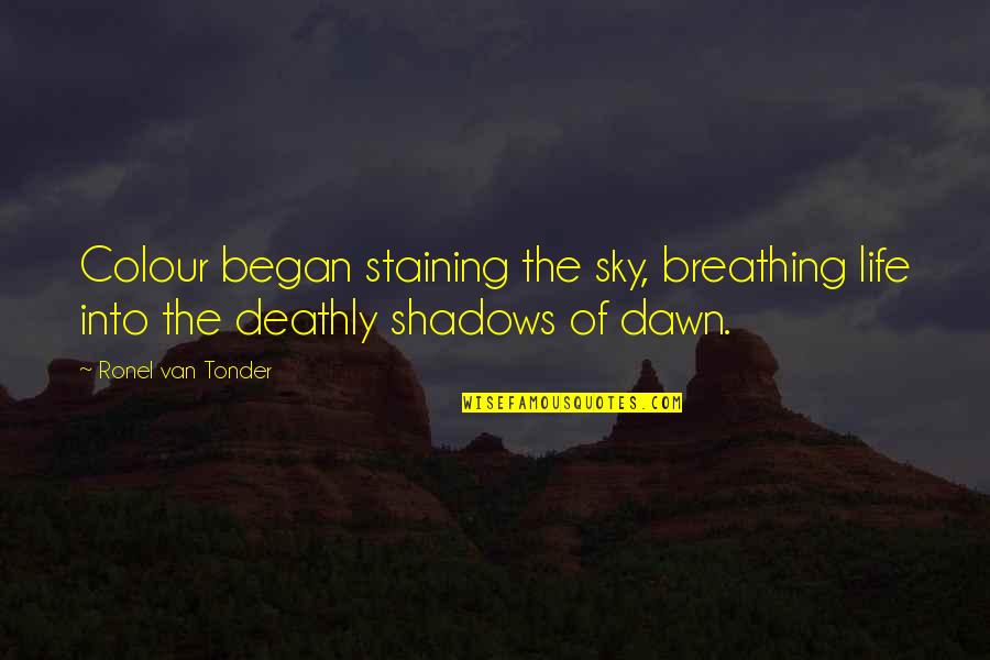 Staining Quotes By Ronel Van Tonder: Colour began staining the sky, breathing life into