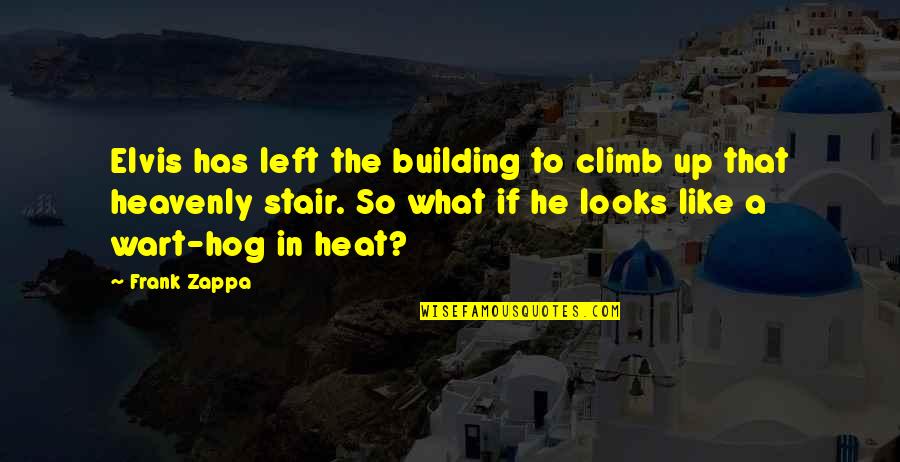 Stair Climb Quotes By Frank Zappa: Elvis has left the building to climb up