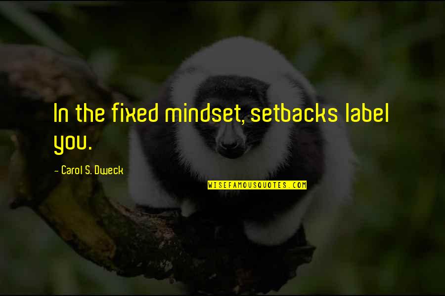 Staking Pepper Quotes By Carol S. Dweck: In the fixed mindset, setbacks label you. Staking Pepper Quotes By Carol S. Dweck: In the fixed mindset, setbacks label you.