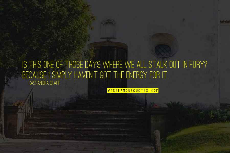 Stalk Quotes By Cassandra Clare: Is this one of those days where we